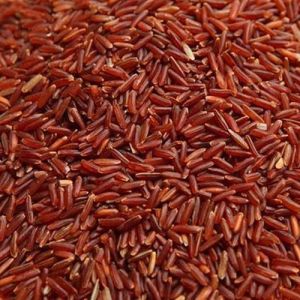 Red rice