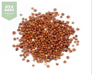Quinoa seeds