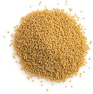 Yellow Mustard Seeds