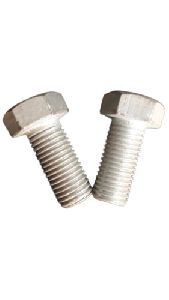 Stainless Steel Hex Bolt