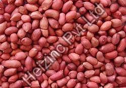 groundnut seed(Peanuts)