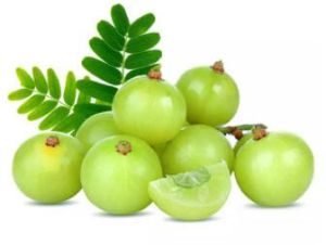 Amla carrier oil