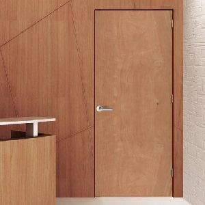 Plywood Wooden Door