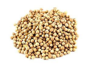 Coriander Seeds