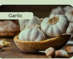 Fresh Garlic