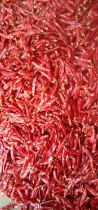 Dried Teja Red Chilli