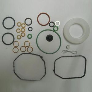 CRDI Repair Kit