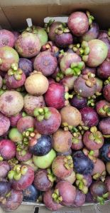 Fresh Mangosteen Fruit