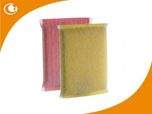 Foam Scrub Pad