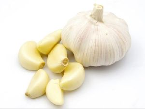 Allium Sativum Bulb (Garlic)