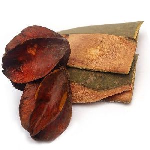 Arjuna Extract (TerminaliaArjuna)