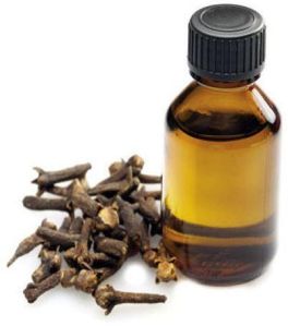 Clove essential oil