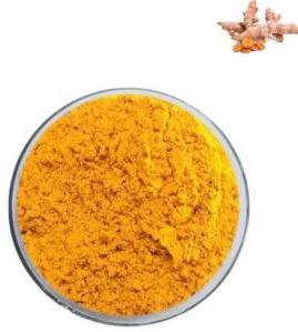 Curcumin 95% Extract