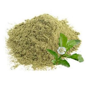 Eclipta Alba Extract