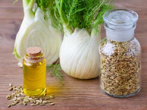 Fennel Essential Oil