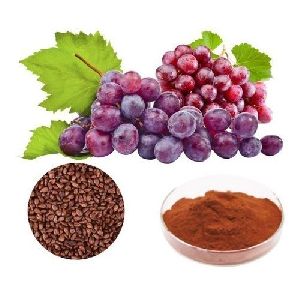 Grape Seed Extract (Vitis Vinifera)