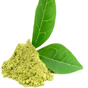 Green Tea Extract (Camellia Sinensis)