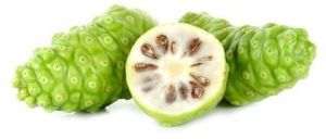 Morinda Citrifolia Extract