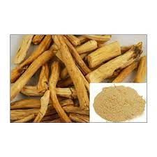 Shatavari Extract (Asparagus Racemosus)