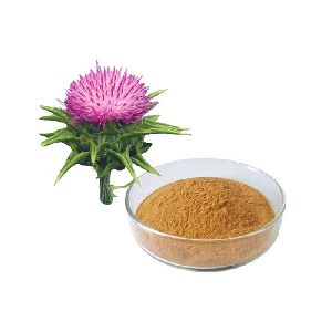 Silybum Marianum Extract 80%