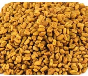 Fenugreek Seeds