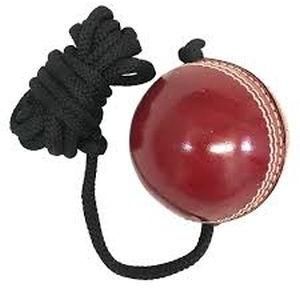 Cricket Hanging Ball