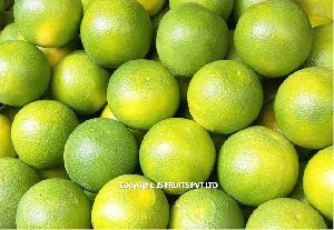 Mosambi (Sweet Lime)