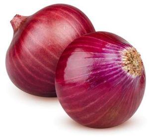 Fresh Onion