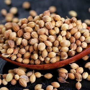 Coriander Seeds