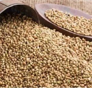 Coriander Seed