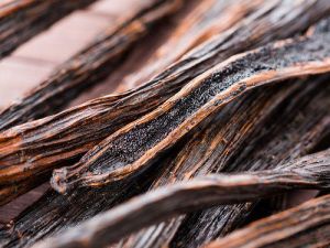 High quality black vanilla beans