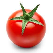 HIGH QUALITY - FRESH TOMATO