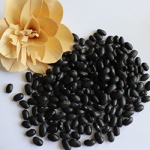 High Quality Organic Chinese Small Black Kidney Bean