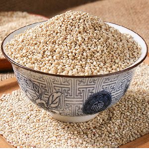 Quinoa seed quinoa quinoa manufacturers Quinoa seeds