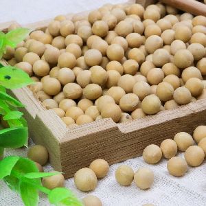 protein calcium organic soy beans