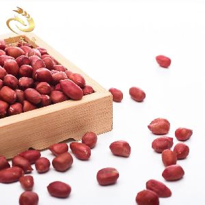 organic protein raw peanuts kernel