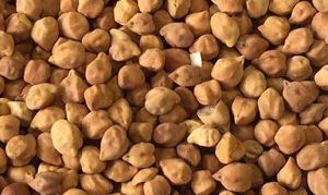 Desi Chickpeas