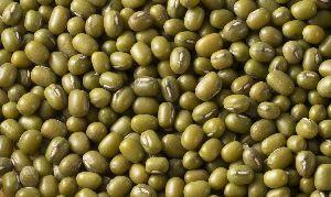 Green Mung Beans