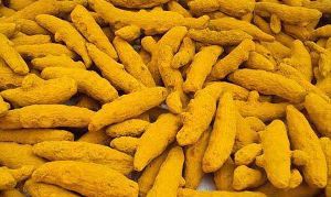 Turmeric Finger