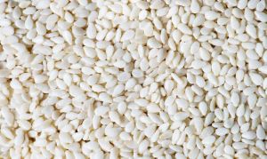 white sesame seeds