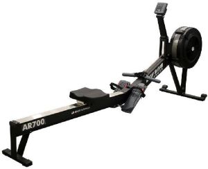 Commercial Air Rower