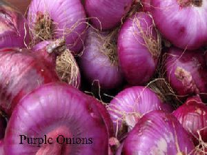 Onion