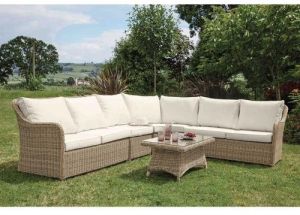 Garden Cane Sofa Set