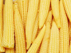 Baby Corn