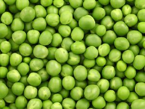 Fresh Green Peas