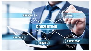 projects consultants