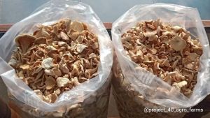 Sun Dried Oyster Mushrooms