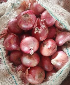 Onions