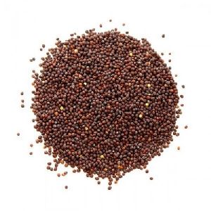 Brown Mustard Seeds