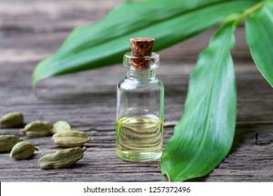 Cardamom essential oils